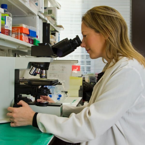 Galeri pharma company template research